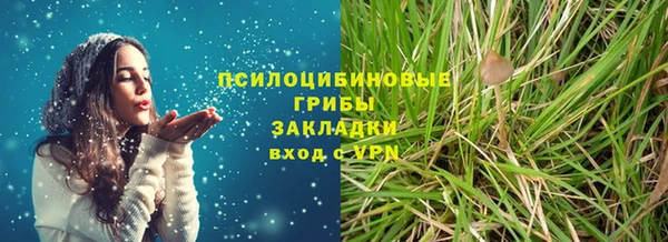 круглые Алзамай