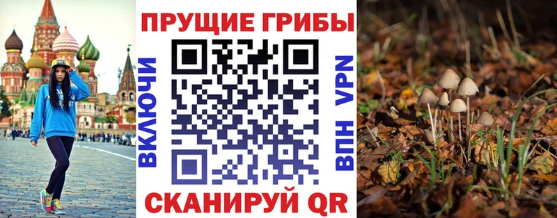 ОМГ ОМГ зеркало Лесной Псилоцибиновые грибы мицелий