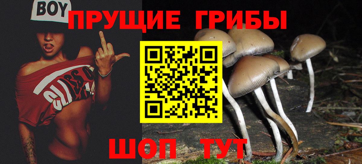 Галлюциногенные грибы прущие грибы Лесной