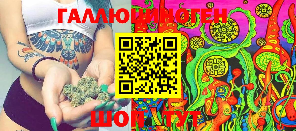 Лесной  Псилоцибиновые грибы Psilocybe  Вход с VPN 