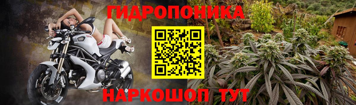 Бошки марихуана MAZAR  Бошки Шишки Ganja  Вход с VPN  Шишки марихуана SATIVA & INDICA  Лесной  Канабис марихуана 